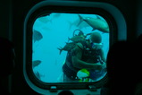 1e05cb69.JPG