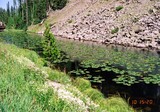 2aab78f3.jpg