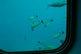 3a65db03.JPG
