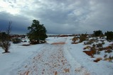 51c07de0.jpg