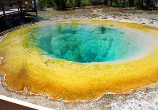 morning glory pool 08
