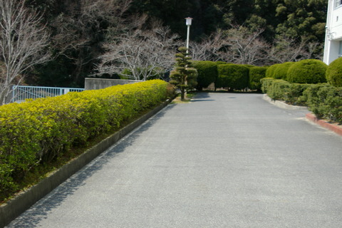 IMGP5551