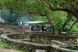 7289cf21.JPG