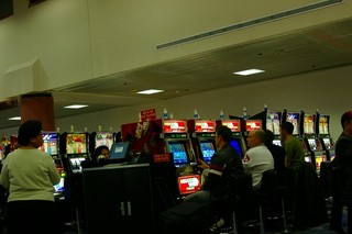 IMGP7850