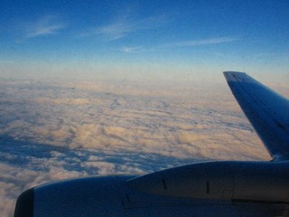 IMG_7132
