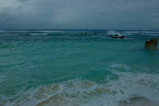 IMGP8515