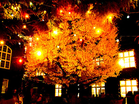 Xmas12-2