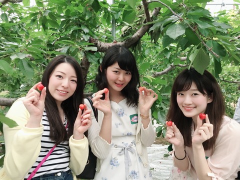 HISツアー4