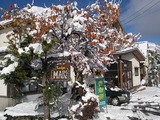 0958334a.jpg