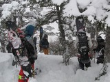 17385dfe.jpg