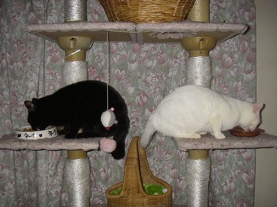 2012.2.3