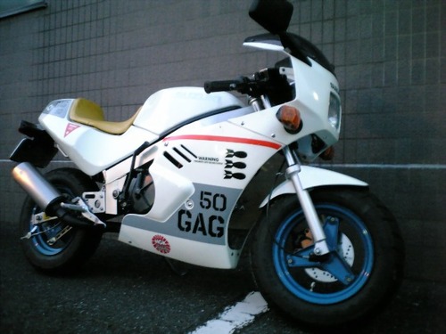 [決まりました]　SUZUKI　GAG部品取り２台セット 二輪車】GAG・我が家のバイクその1《SUZUKI GAG》 : 鶴岡畳産業ブログ
