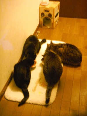 2012.2.3