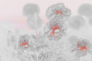 5f0e400d.jpg