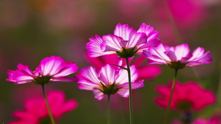 68d98847.jpg