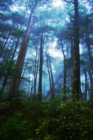 75d06b30.jpg