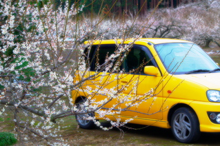 9a05aa14.jpg