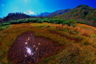 a6d2d80e.jpg