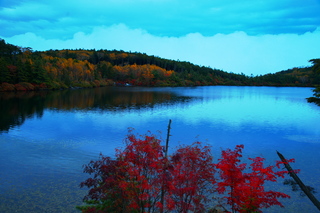 c4a0f729.jpg