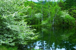 DSC01803