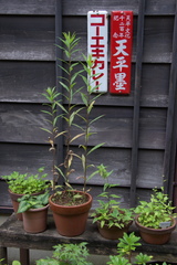 木造アパート2