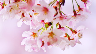 e719a377.jpg