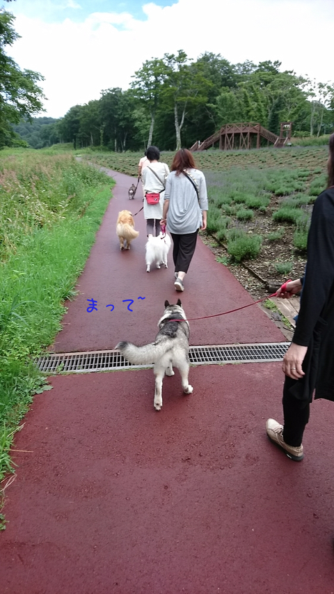 たんばら1