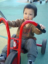 449cc77a.jpg