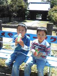 6786cf16.jpg