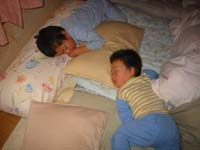 7b5546d9.jpg