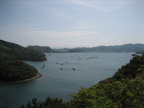 ウチの海