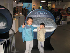 f8648666.jpg