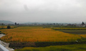 Image095