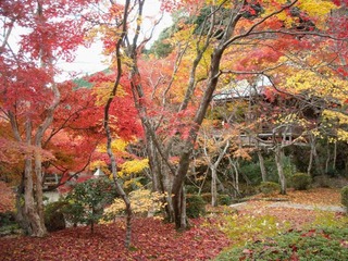勝持寺5