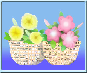 petyunia13のコピー