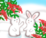南天1のコピー