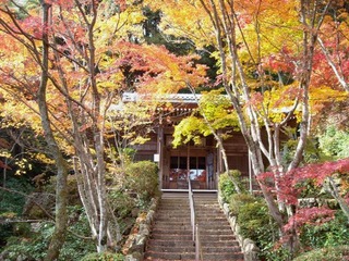 勝持寺3