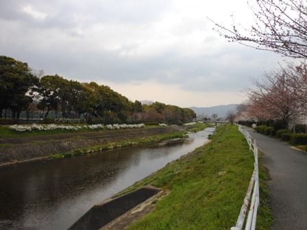kawa05