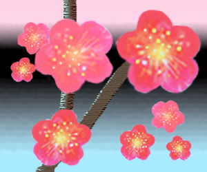 ume01のコピー