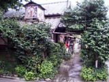 芭蕉店