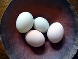 玉子