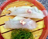カワハギ