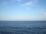 大島