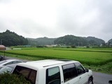 とら風景