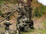 磯上1