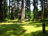 平泉寺苔