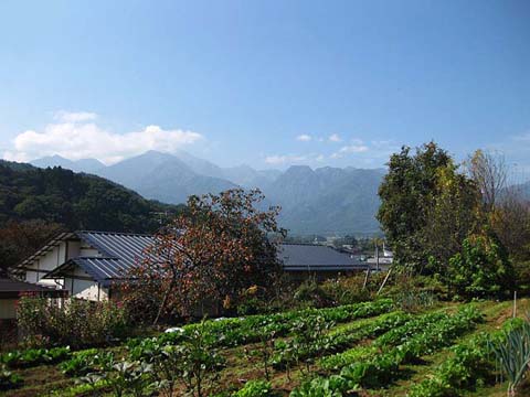 台ヶ原風景