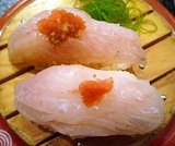 カサゴ