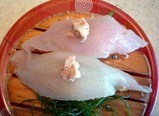 ウマヅラ