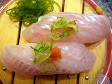 カサゴ